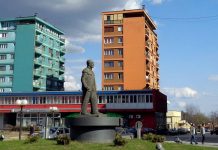 Поново ради подружница у Бору