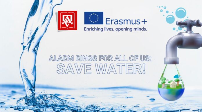 Portugal meeting report