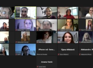 Realizovan vebinar „Održivo preduzetništvo: putokaz ka demokratskim vrednostima“